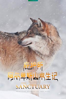 庇護所：阿爾卑斯山求生記[電影解說]