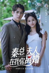 秦總，夫人在找你離婚