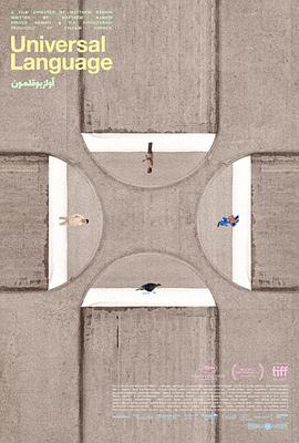 共同的語(yǔ)言