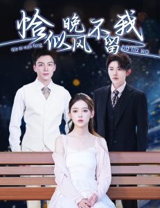 恰似晚風不留我＆棄他如風