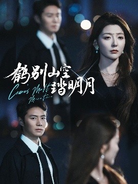 鶴別山空踏明月