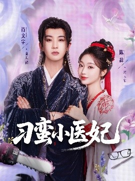 刁蠻小醫(yī)妃