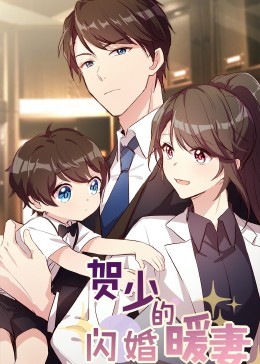 賀少的閃婚暖妻·動(dòng)態(tài)漫第一季