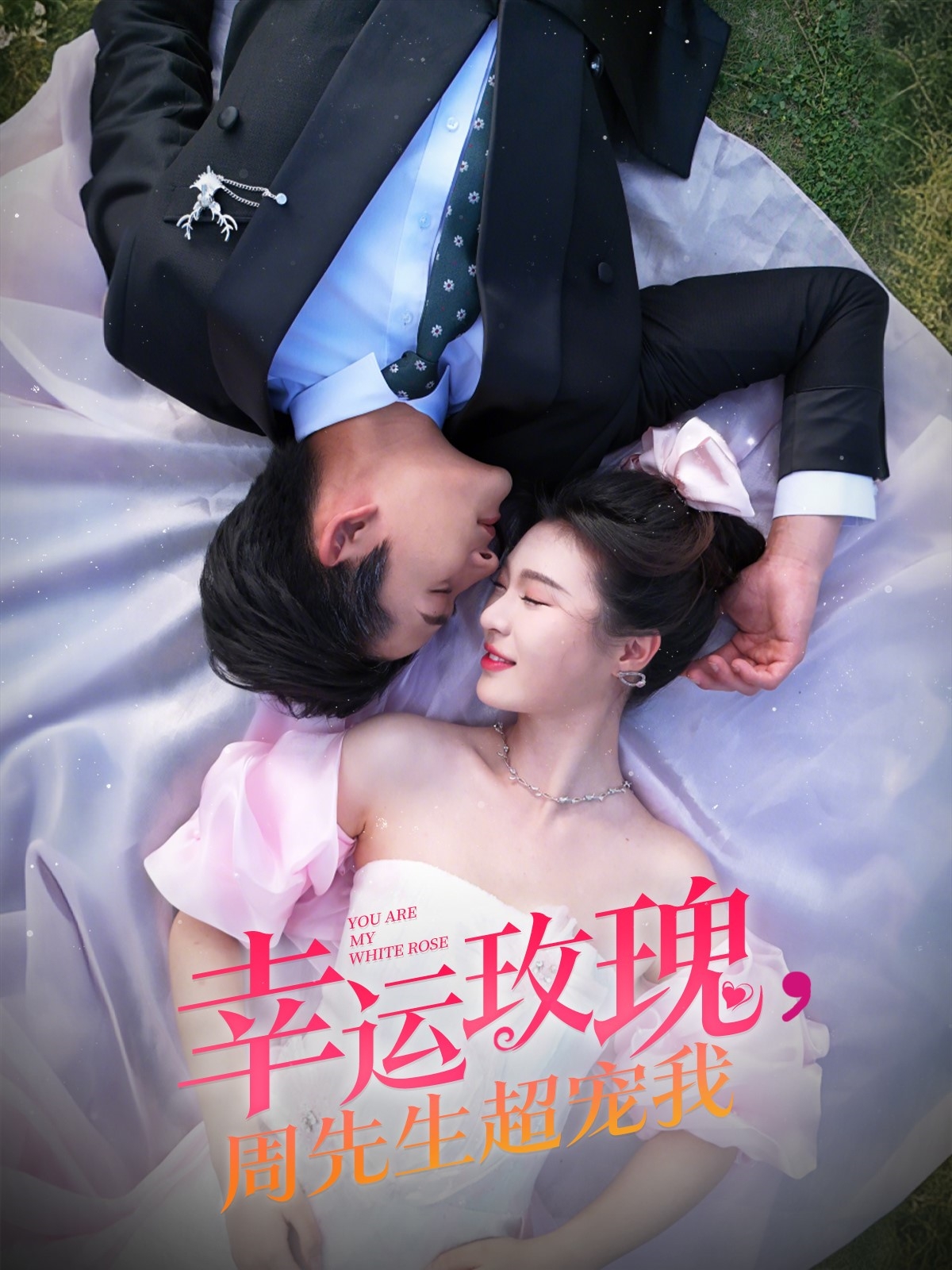 幸運(yùn)玫瑰，周先生超寵我