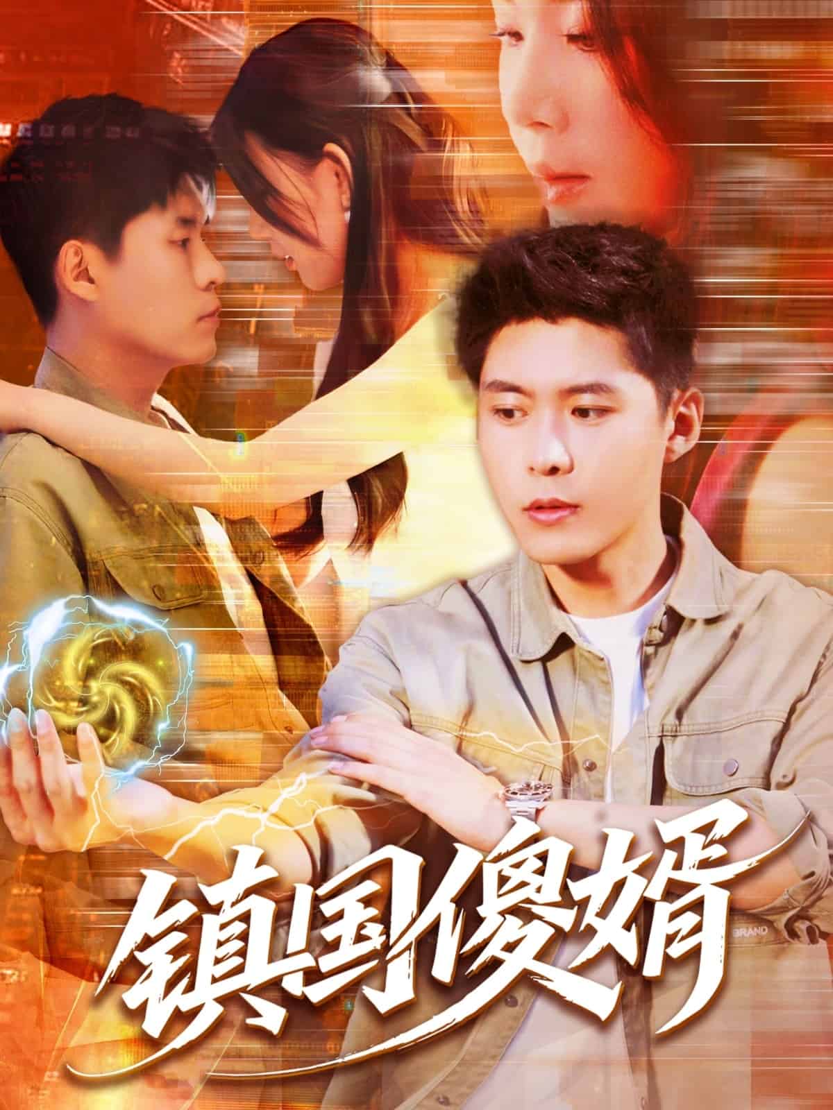 鎮(zhèn)國(guó)傻婿