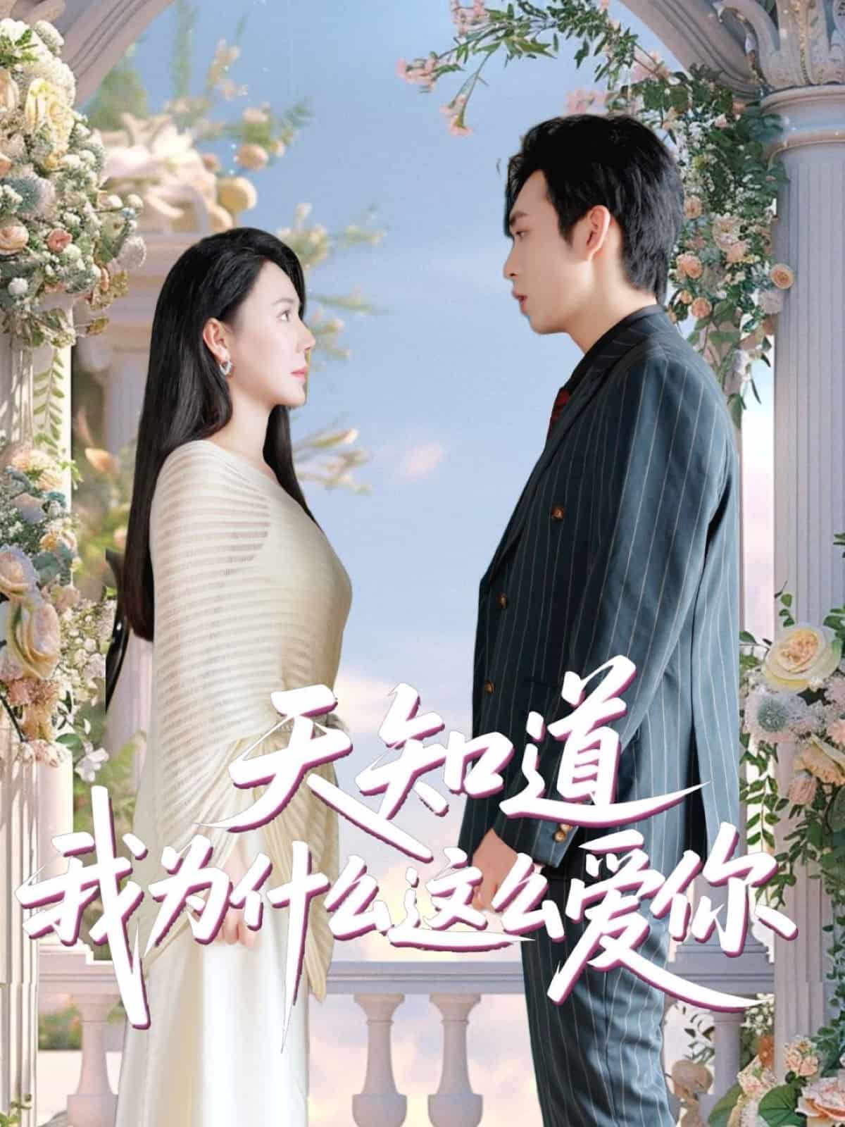 天知道我為什么這么愛你