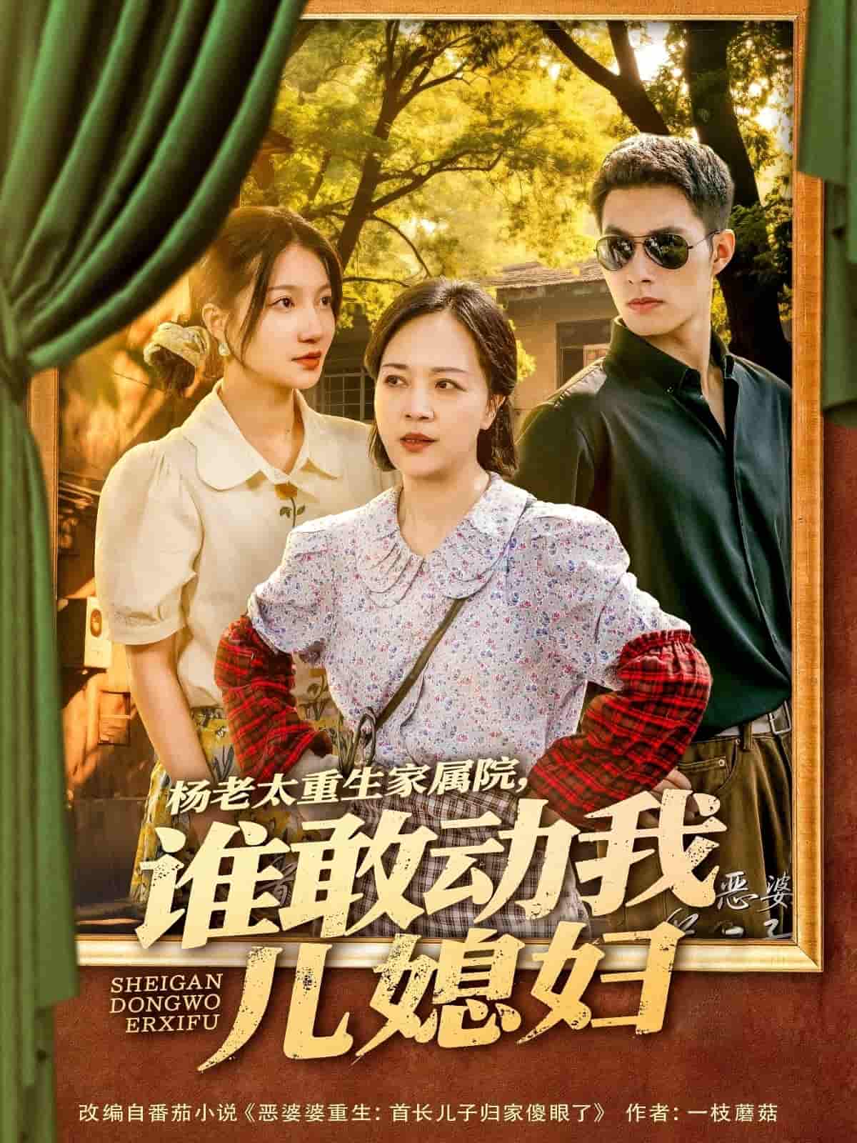 楊老太重生家屬院，誰(shuí)敢動(dòng)我兒媳婦