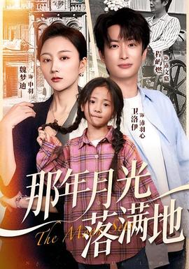 那年月光落滿地