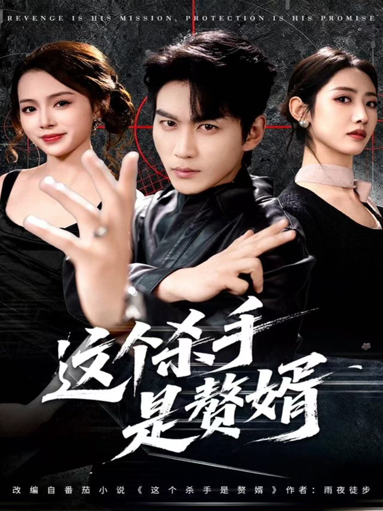 這個(gè)殺手是贅婿