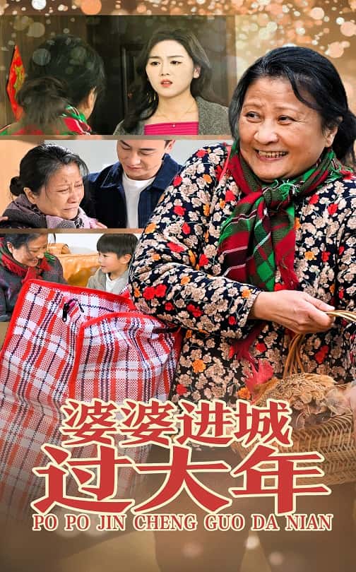 婆婆進城過大年