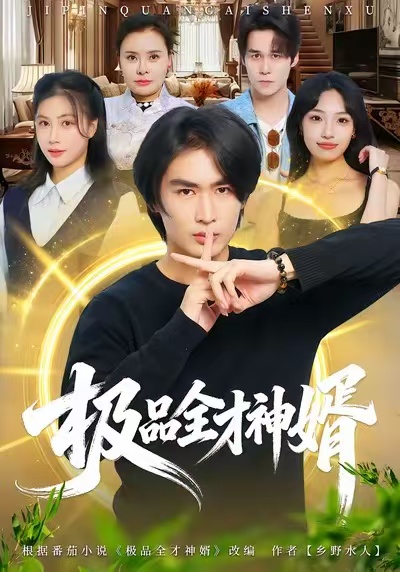 極品全才神婿