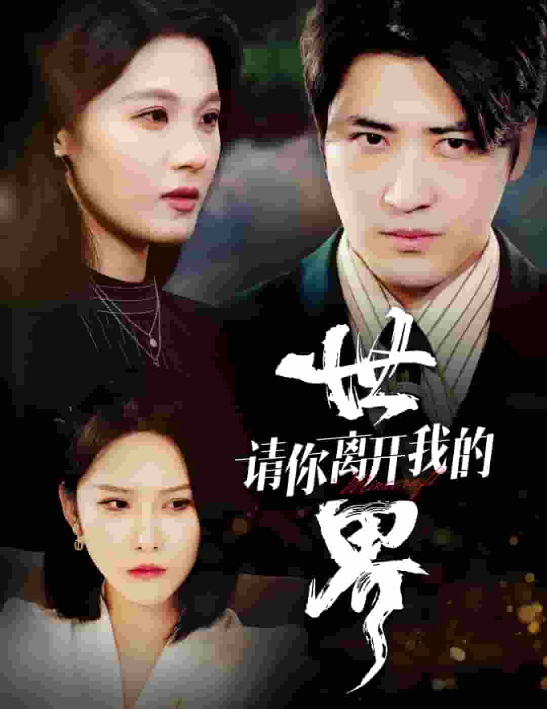 請你離開我的世界