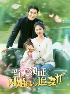 當天領(lǐng)證閃婚陸少追妻忙