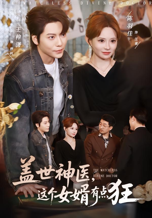 蓋世神醫(yī)，這個(gè)女婿有點(diǎn)狂