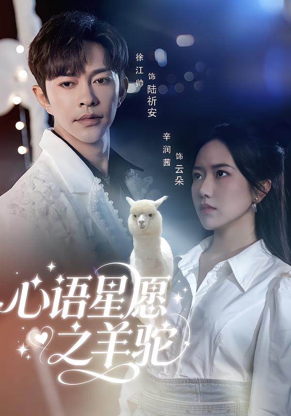 心語星愿之羊駝