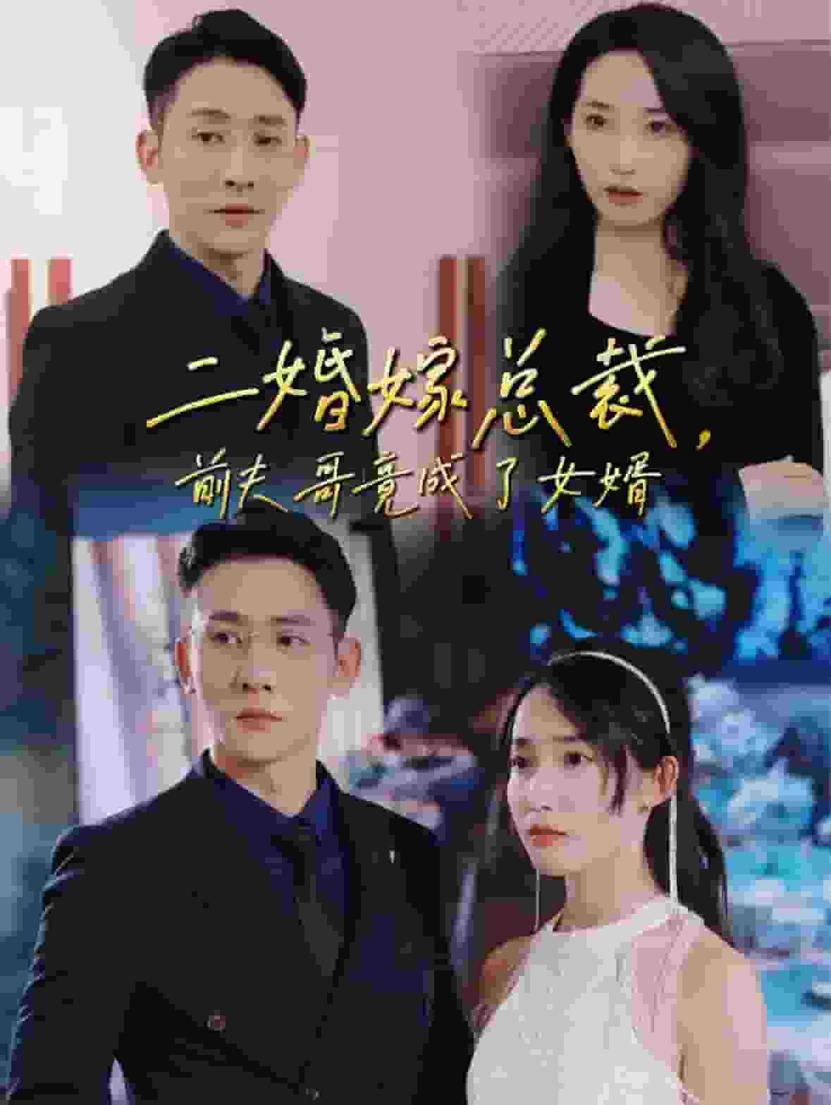 二婚嫁總裁前夫哥竟成了女婿