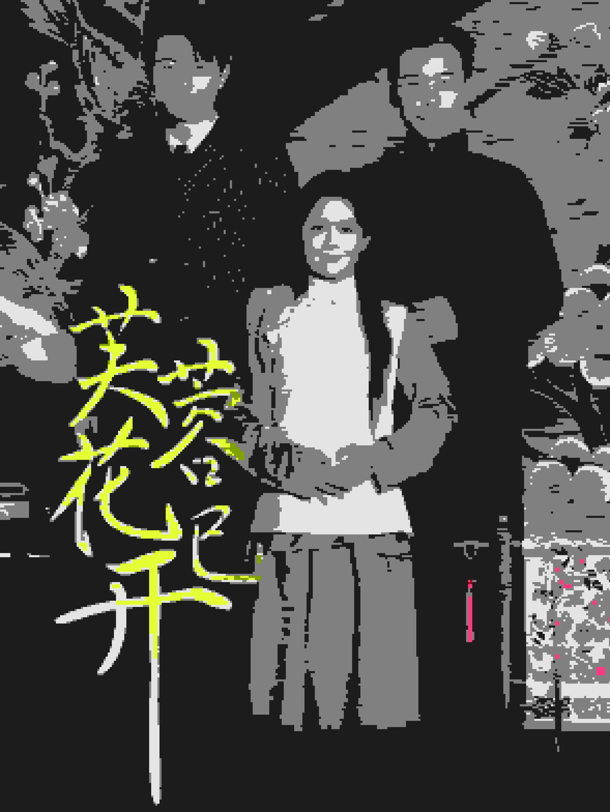 芙蓉花已開(kāi)