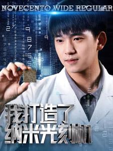 我打造了納米光刻機(jī)