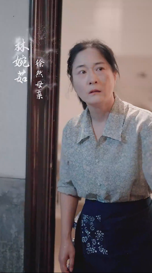 誰憐天下慈母心 短劇版