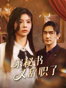 宋秘書(shū)又辭職了