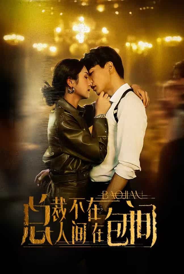 總裁不在人間在包間