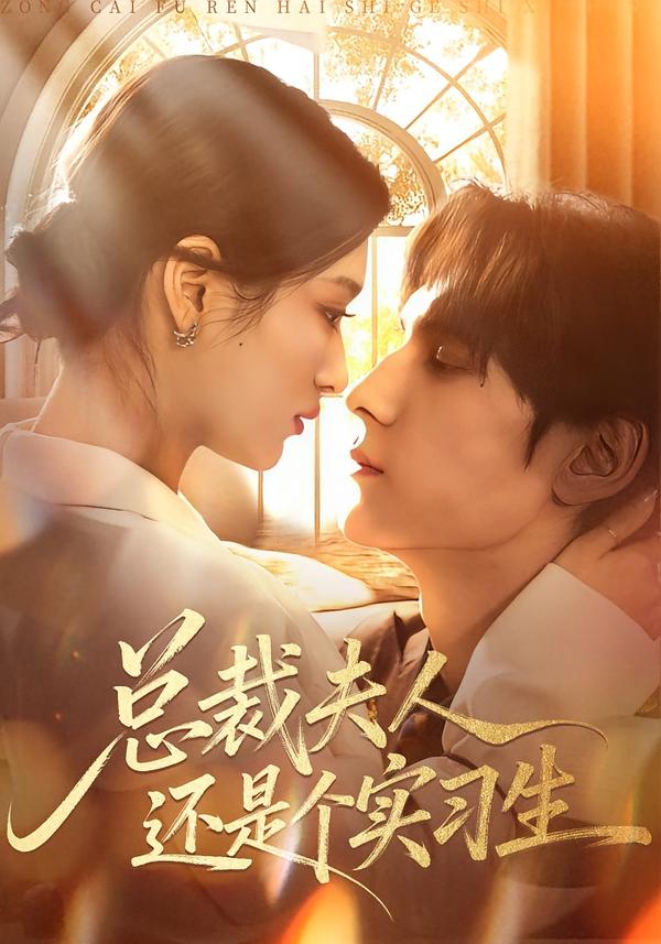 總裁夫人還是個實(shí)習(xí)生