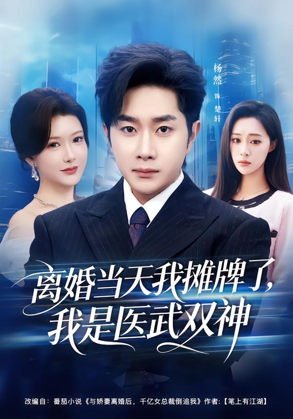 離婚當(dāng)天我攤牌了，我是醫(yī)武雙神