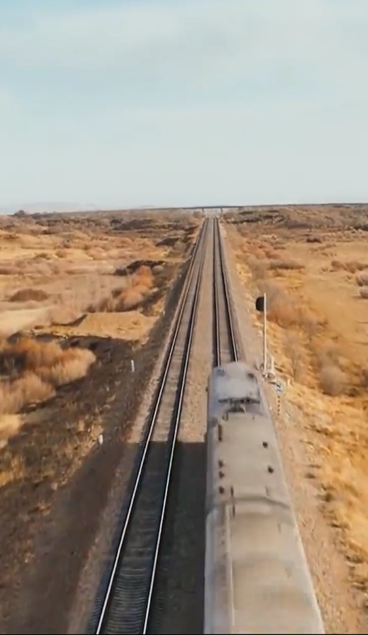 列車逃殺我能推算未來