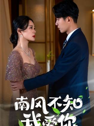 南風(fēng)不知我愛(ài)你