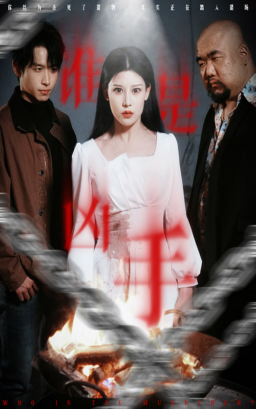 誰(shuí)是兇手（短劇版）