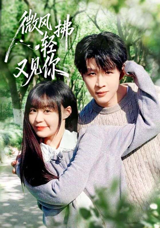 微風(fēng)輕拂又見(jiàn)你