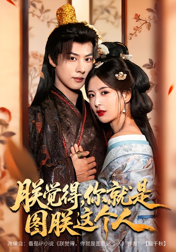 朕覺得，你就是圖朕這個人