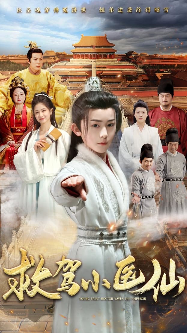 救駕小醫(yī)仙