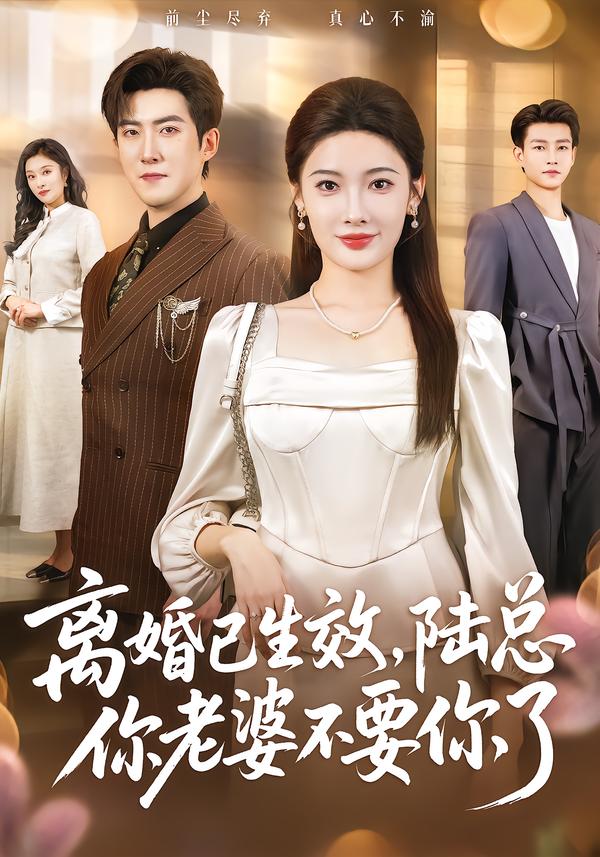 離婚已生效，陸總你老婆不要你了