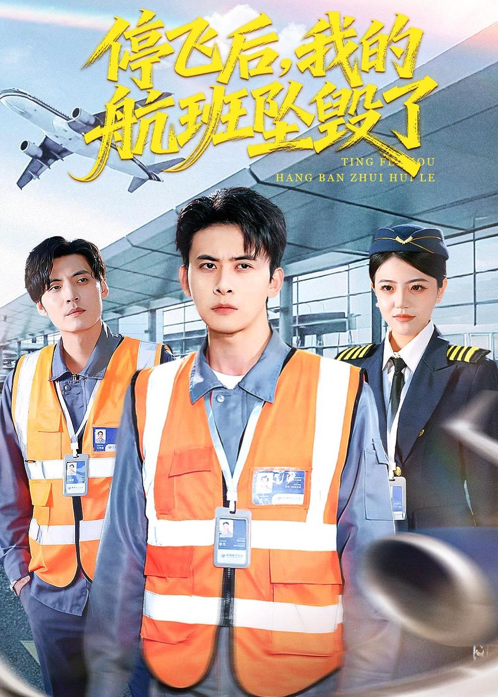 停飛后，我的航班墜毀了