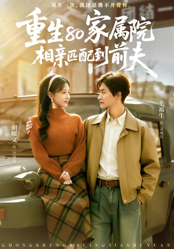 重生80家屬院，相親匹配到前夫