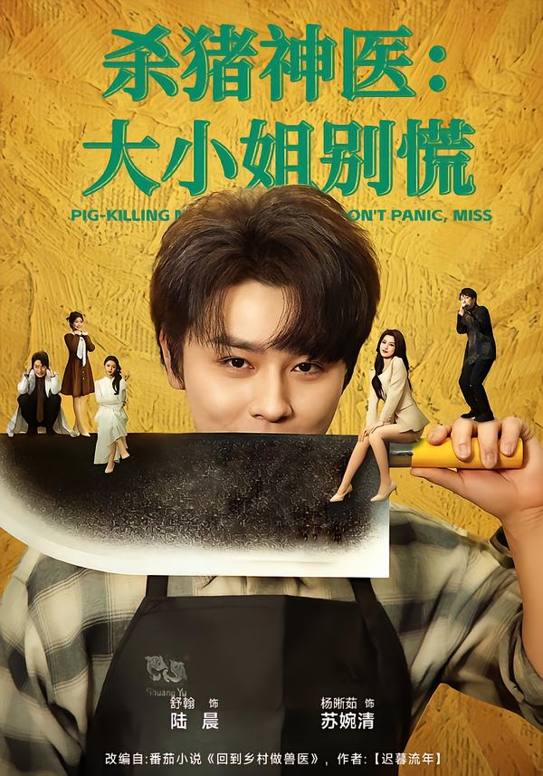 殺豬神醫(yī)，大小姐別慌