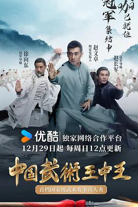 中國武術(shù)王中王