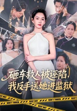 砸車救人被誣陷，我反手送她進(jìn)監(jiān)獄